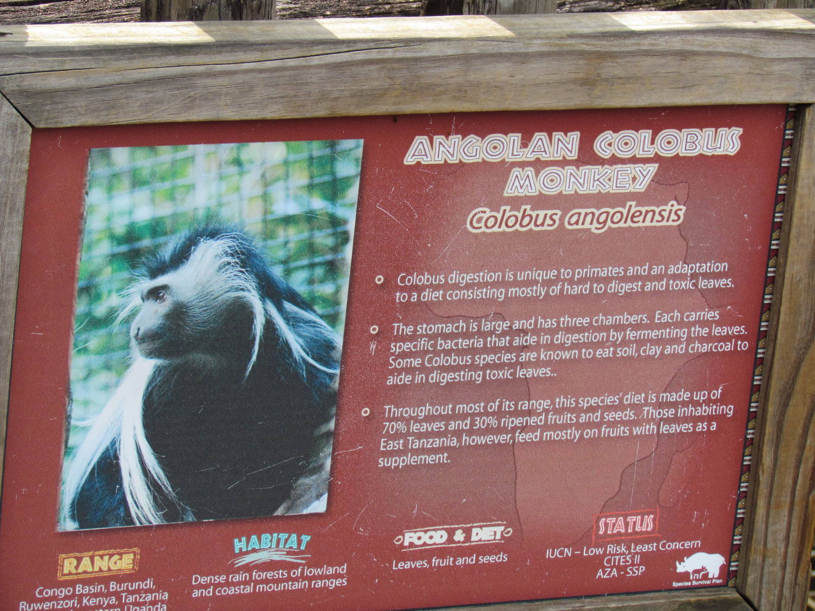 Angolan Colobus Monkey Sign