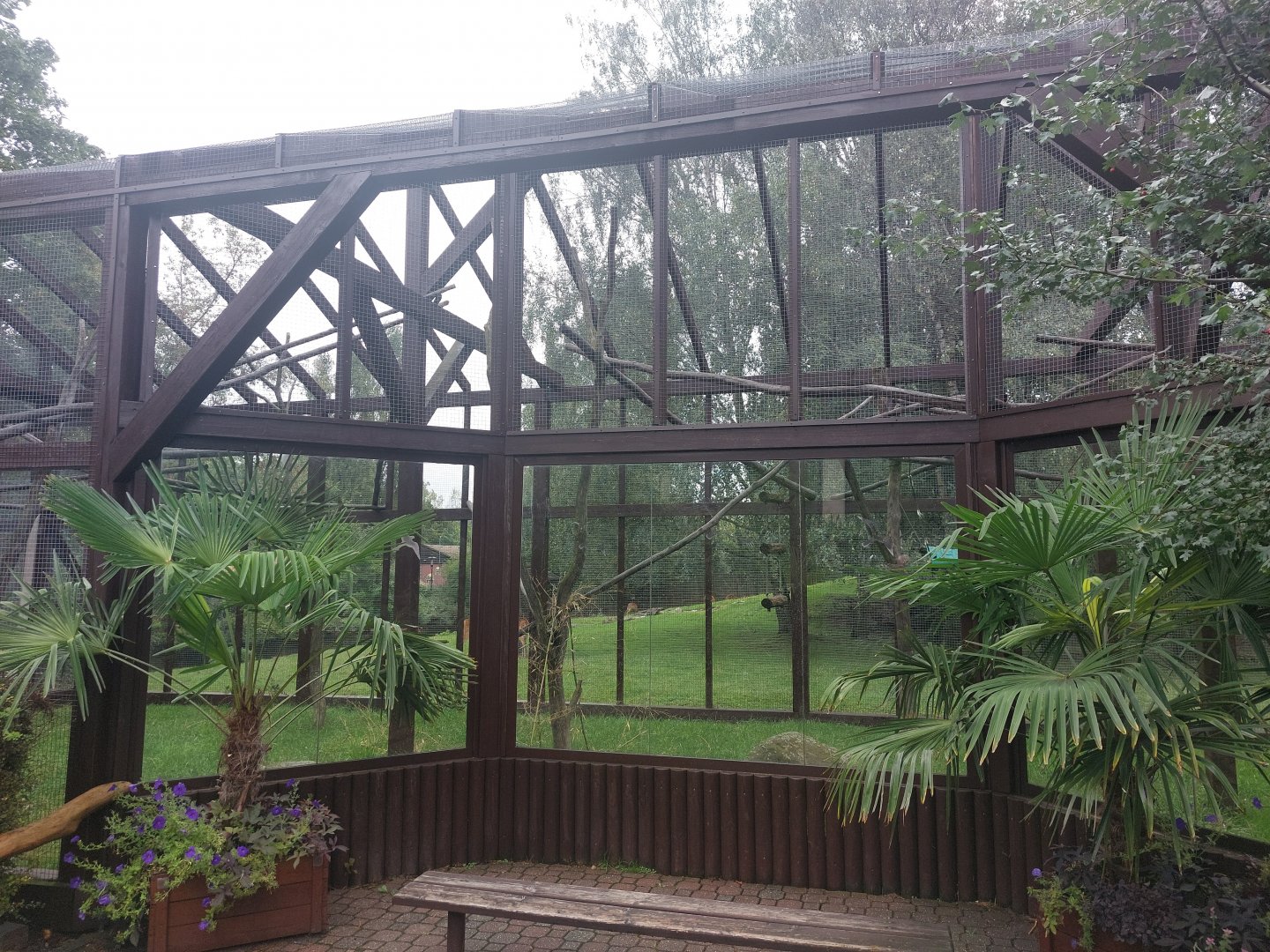 Angolan colobus outdoor cage