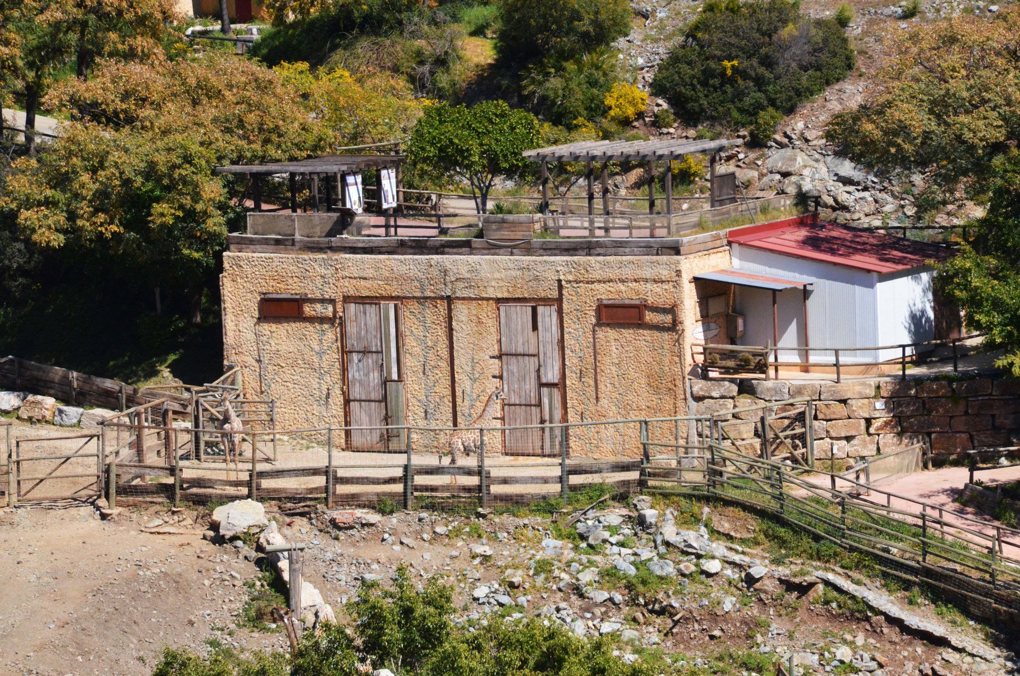 Angolan Giraffe House at Selwo Aventura, 13/03/19