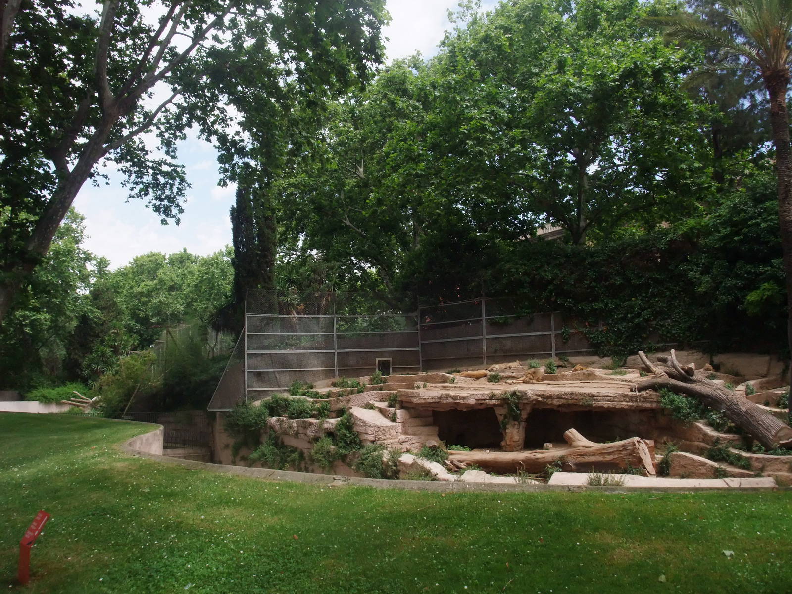 Angolan Lion Exhibit at Barcelona, 30/05/11
