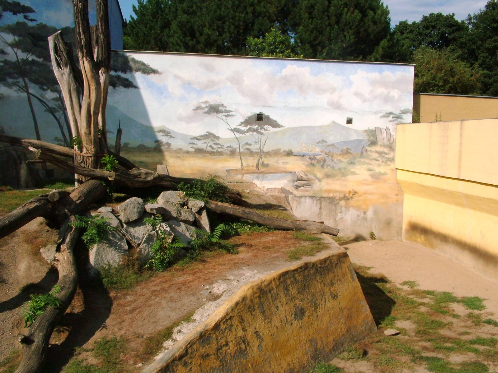 Angolan Lion Exhibit at Usti, 29/08/12