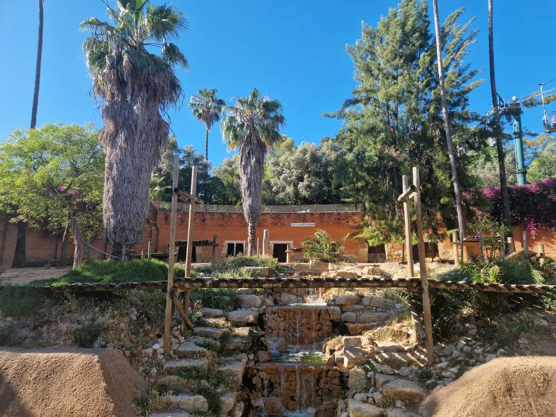 Angolan Lion exhibit