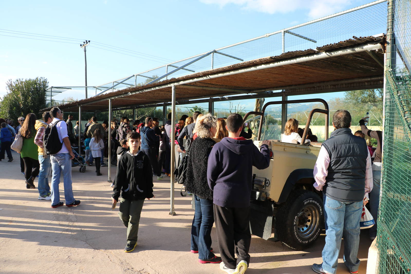 Angolan lion viewing area, February 2016