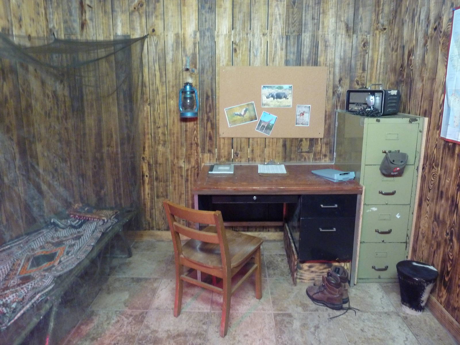 Angolan Python Exhibit