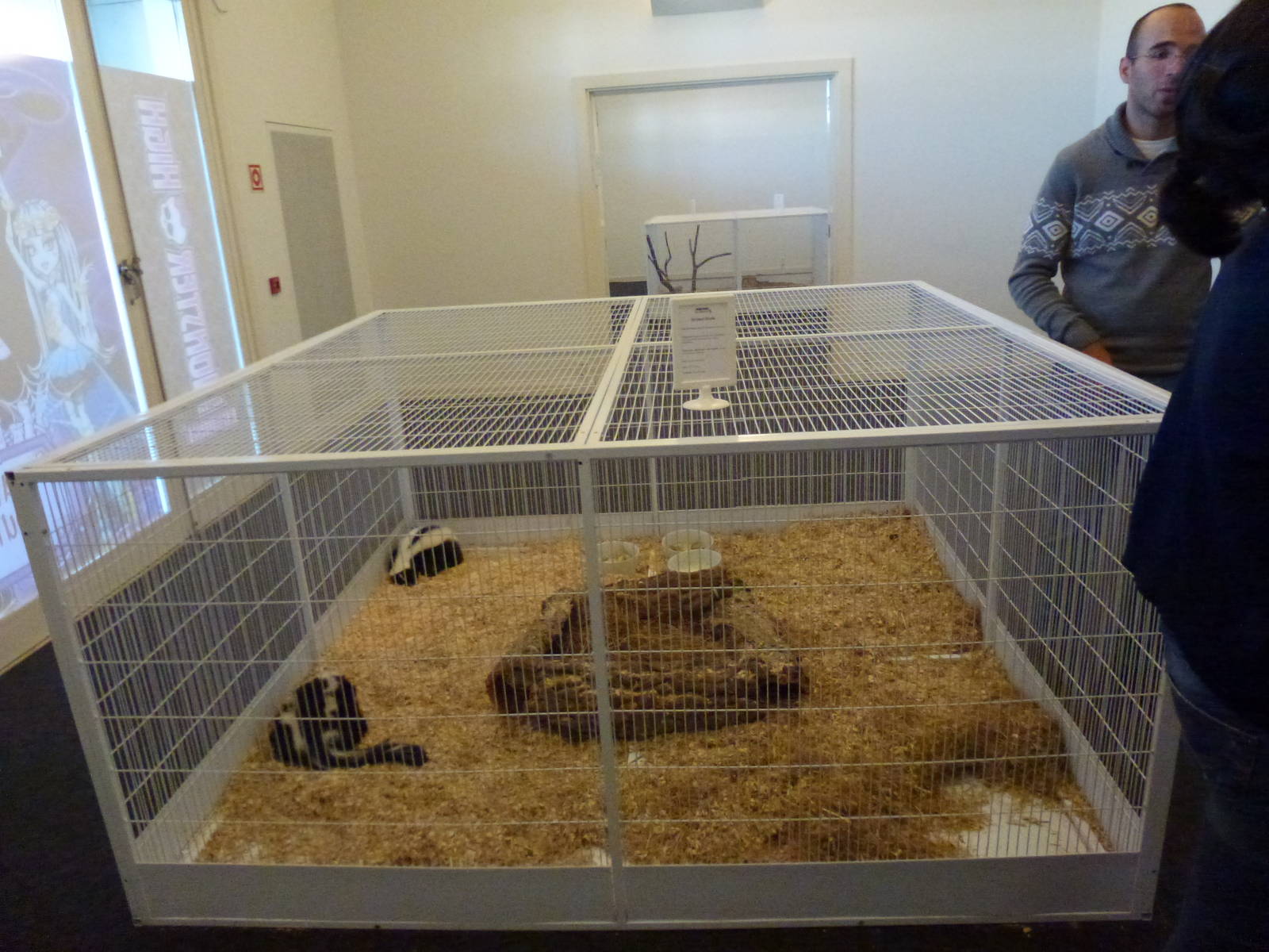Animais exoticos - Skunk enclosure, November 2013.