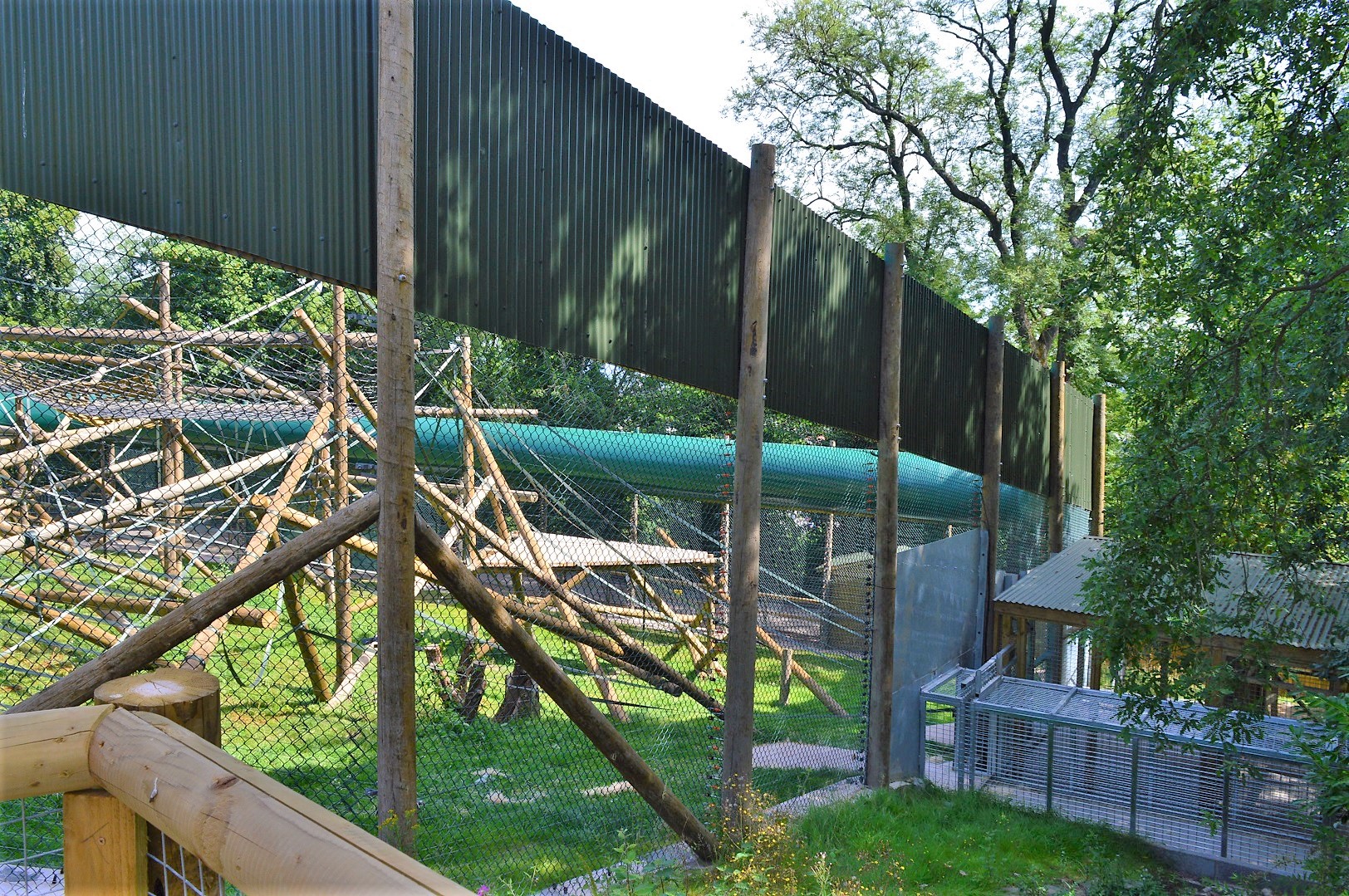 Animal access tunnel to new Bornean orangutan enclosure