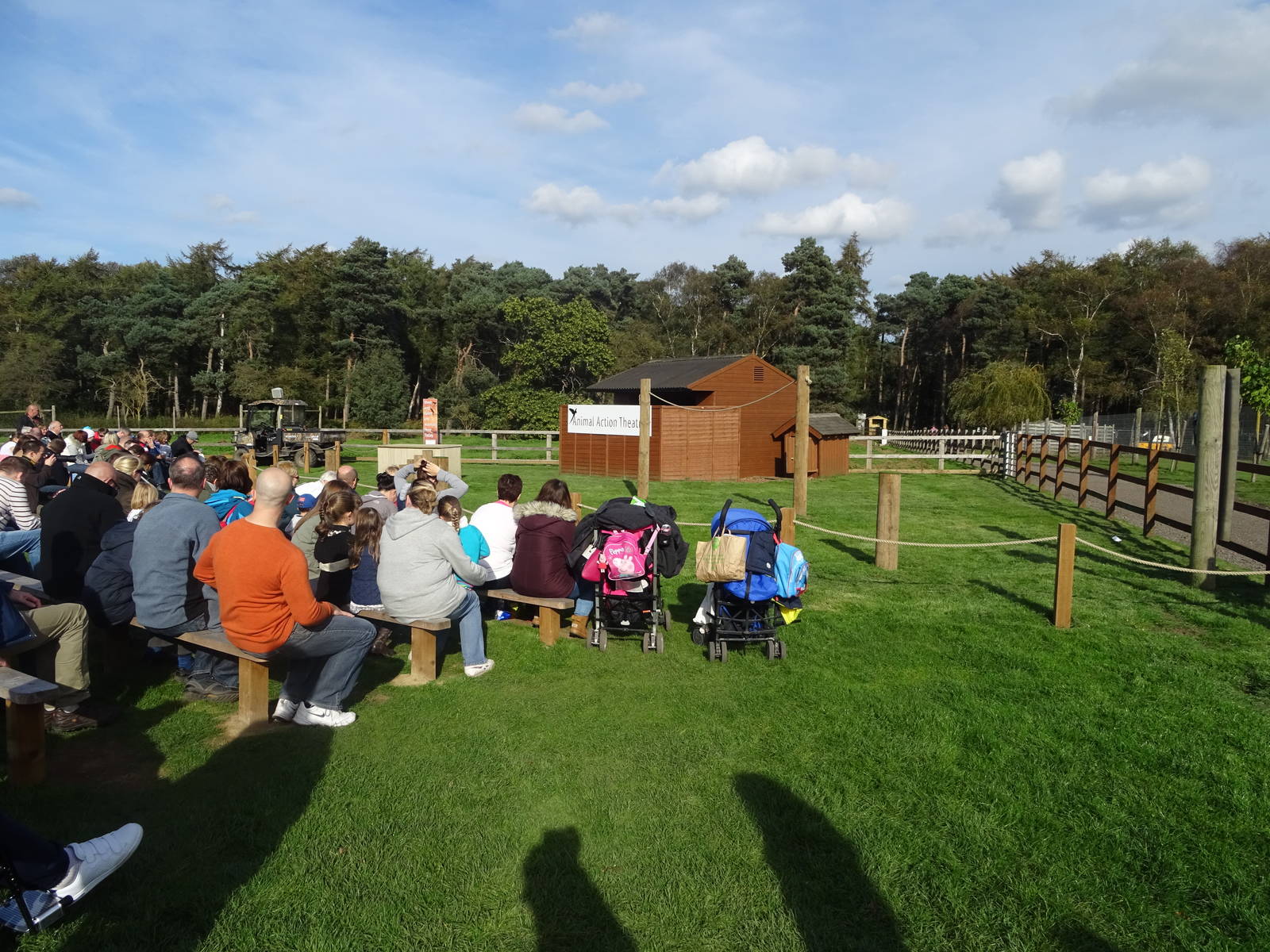 Animal Action Theatre at Yorkshire Wildlife Park