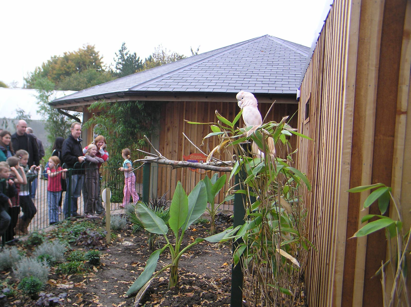 Animal Adventure - Cockatoo Enclosure