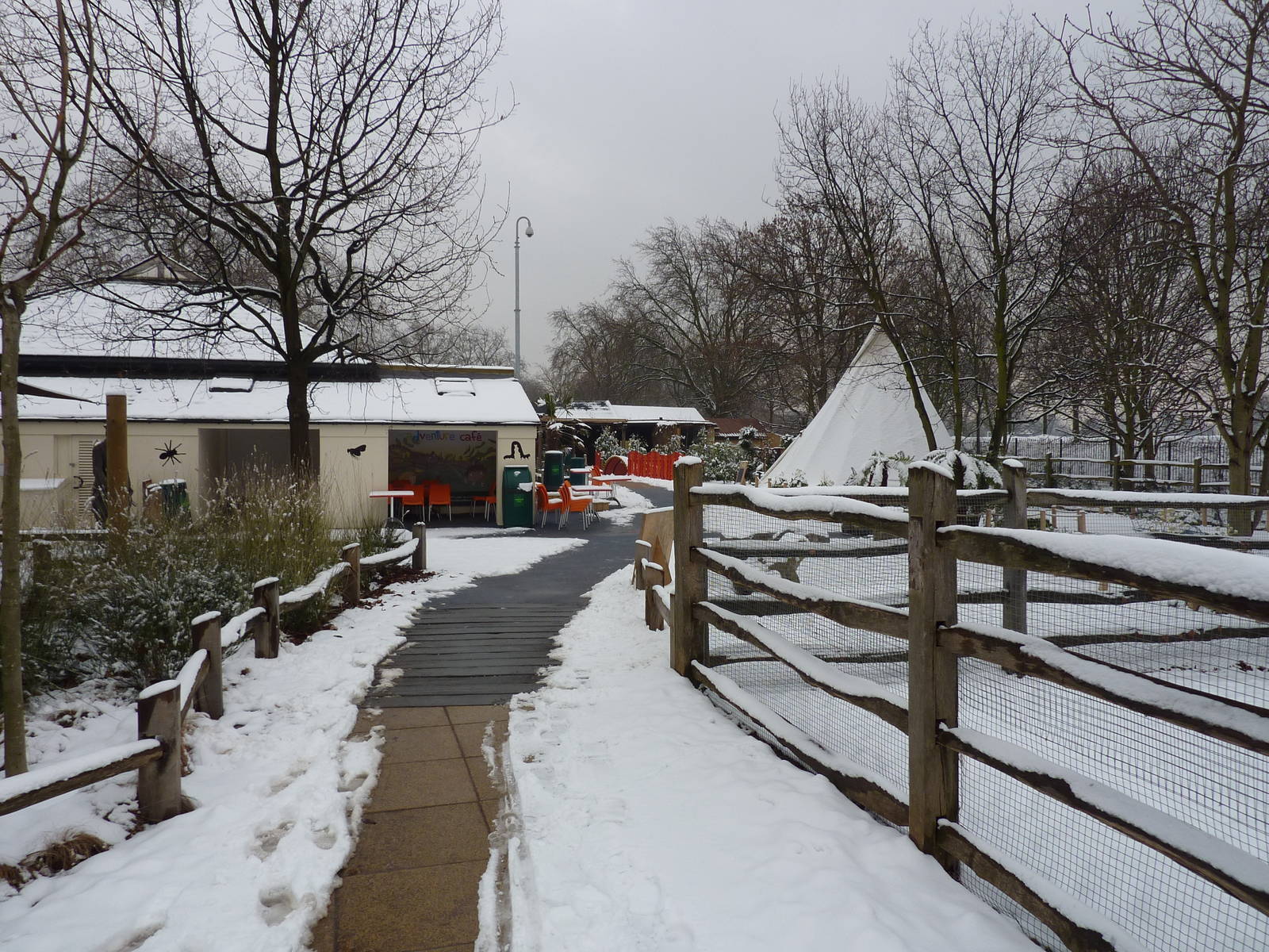 Animal Adventure in the snow