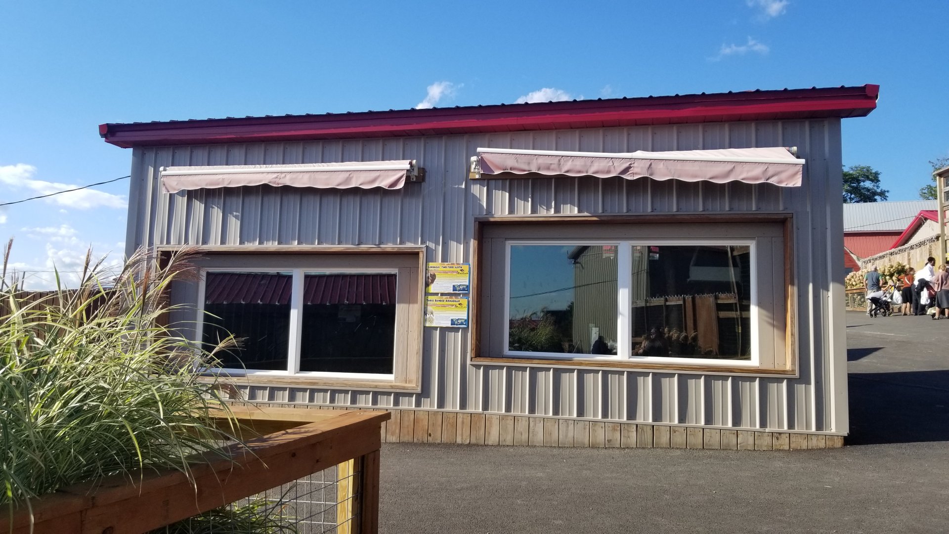 Animal Adventure Park - Armadillo, sloth