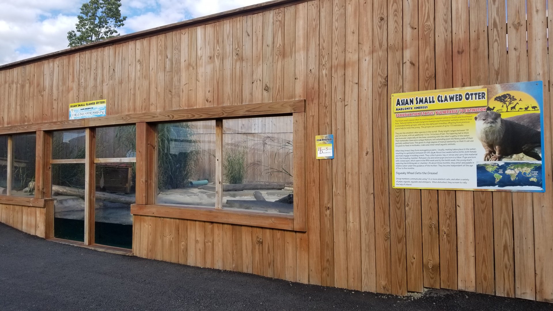 Animal Adventure Park - Asian small clawed otter