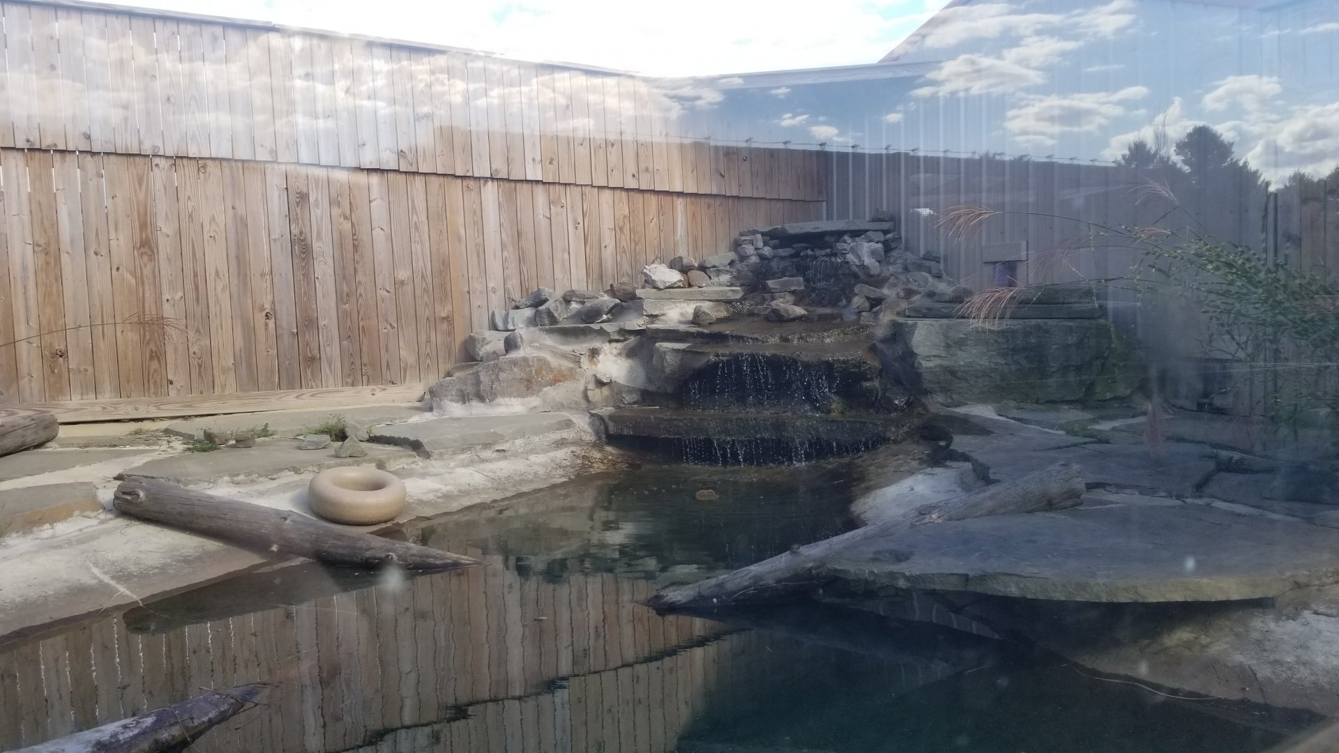 Animal Adventure Park - Asian small clawed otter