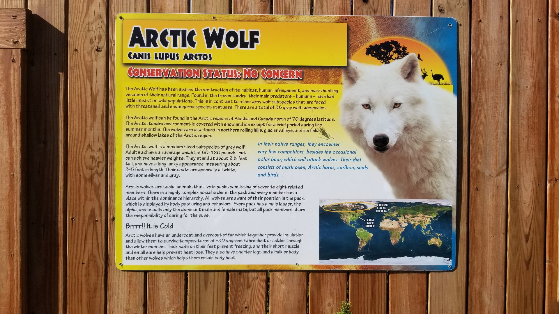 Animal Adventure Park - Bad signage for many species (look at the map)