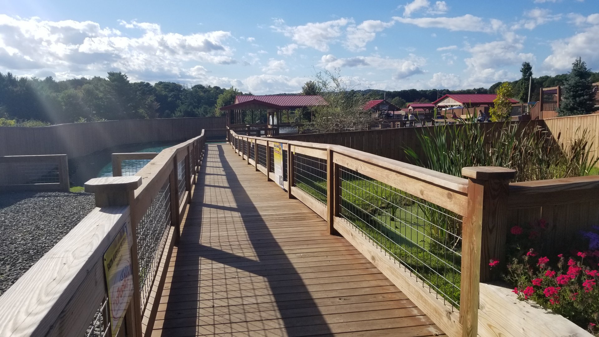 Animal Adventure Park - Boardwalk