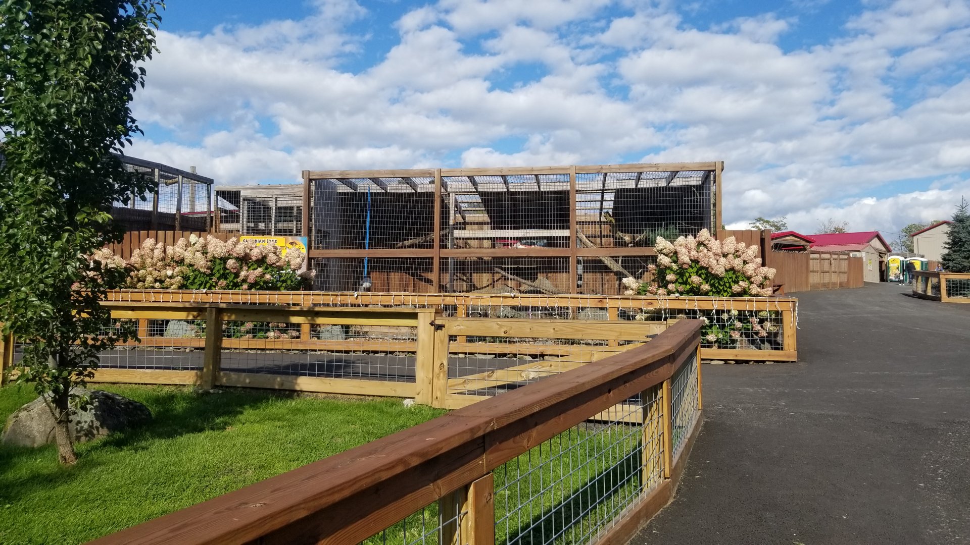 Animal Adventure Park - Canada lynx