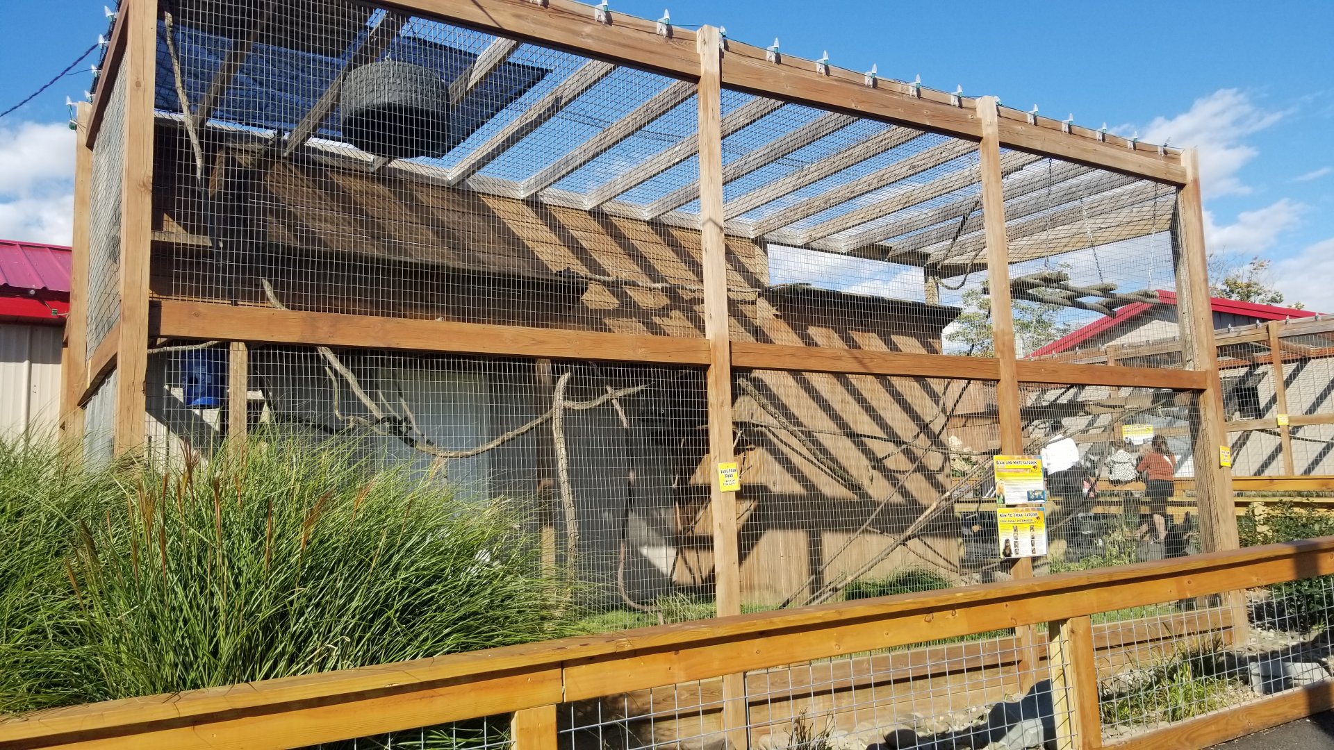 Animal Adventure Park - Capuchin