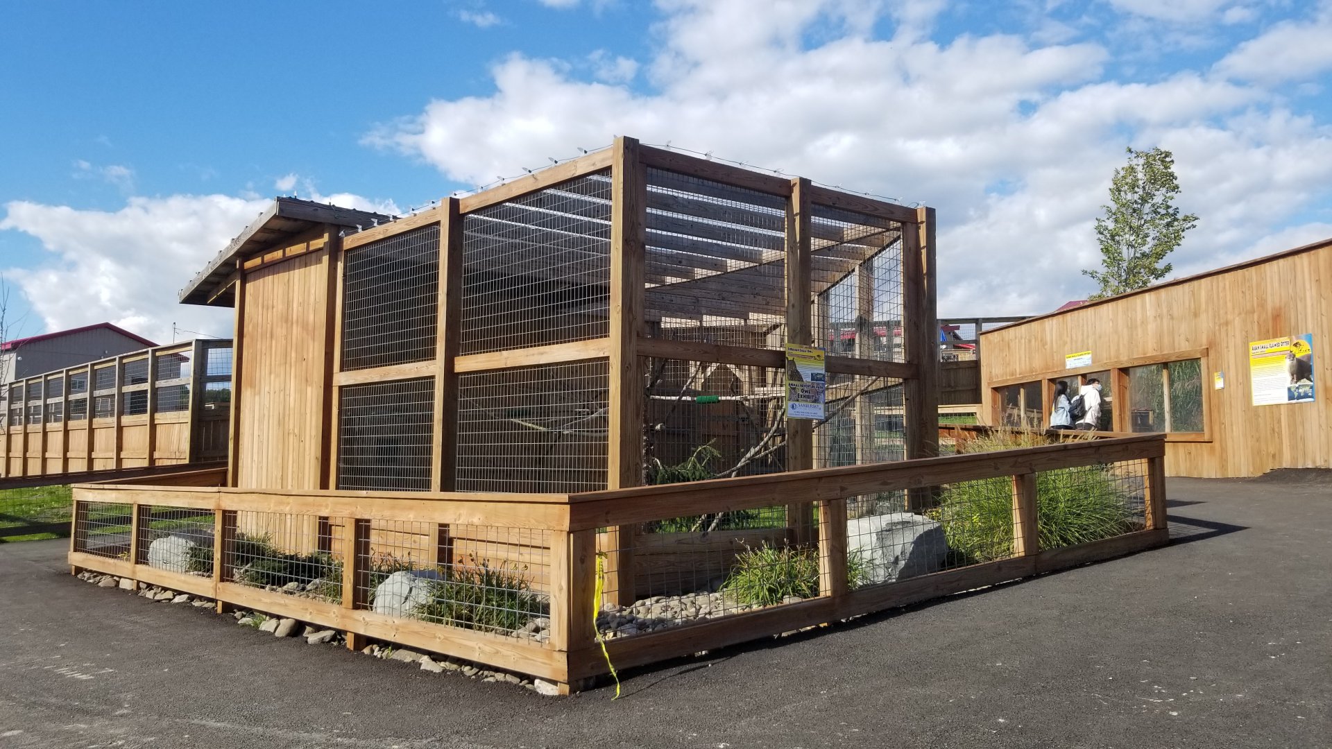 Animal Adventure Park - Eurasian Eagle Owl
