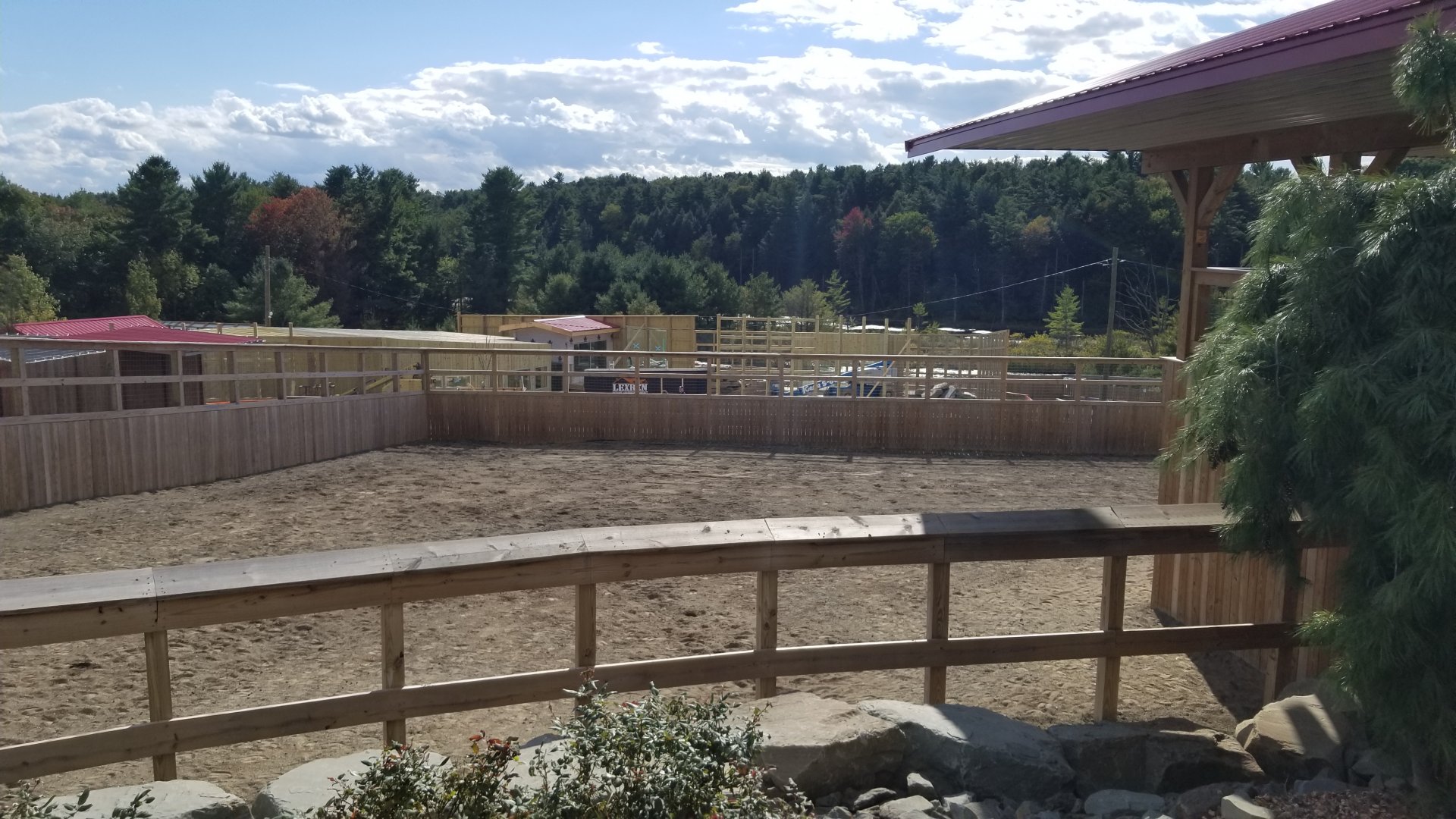 Animal Adventure Park - Giraffe exhibit #1