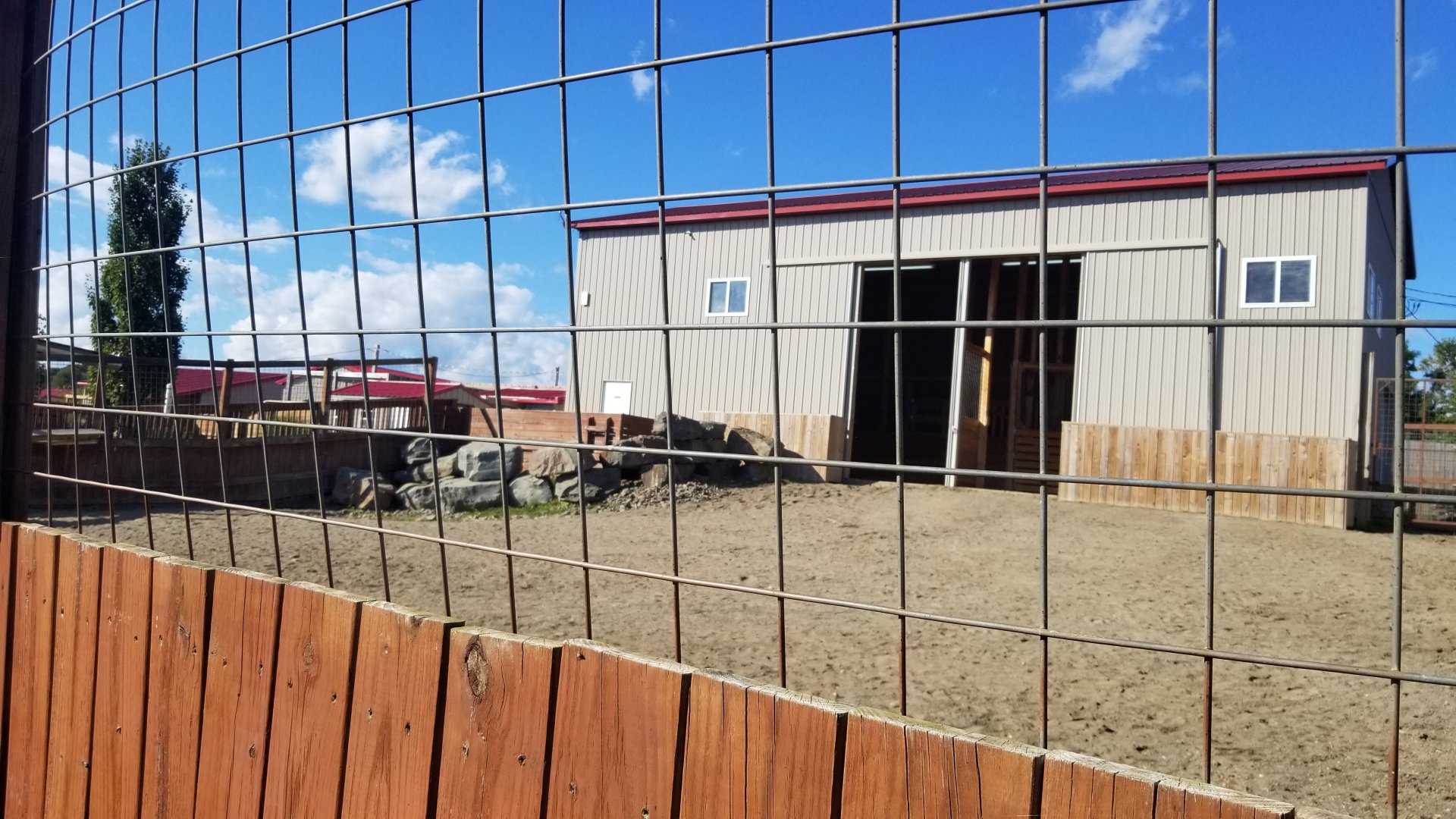 Animal Adventure Park - Giraffe exhibit #2