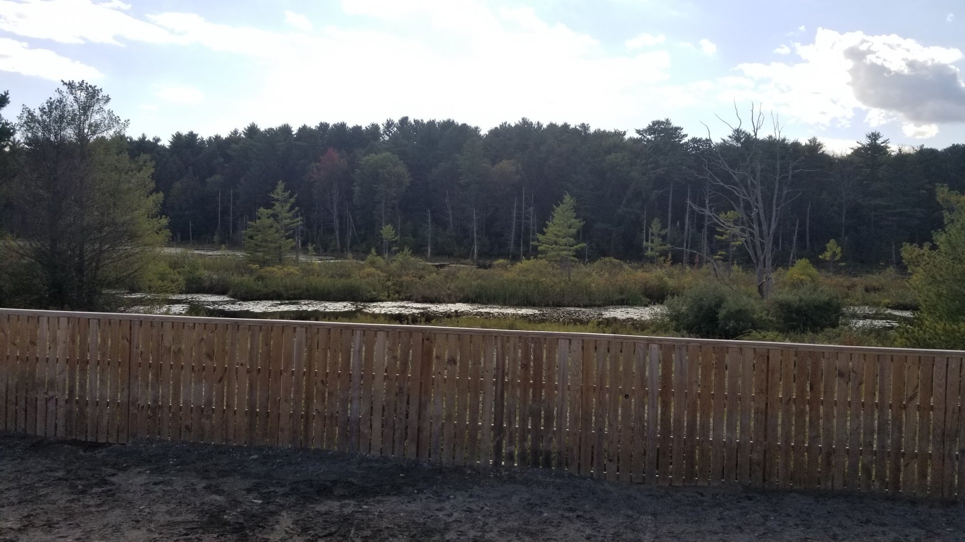Animal Adventure Park - Marsh behind zoo