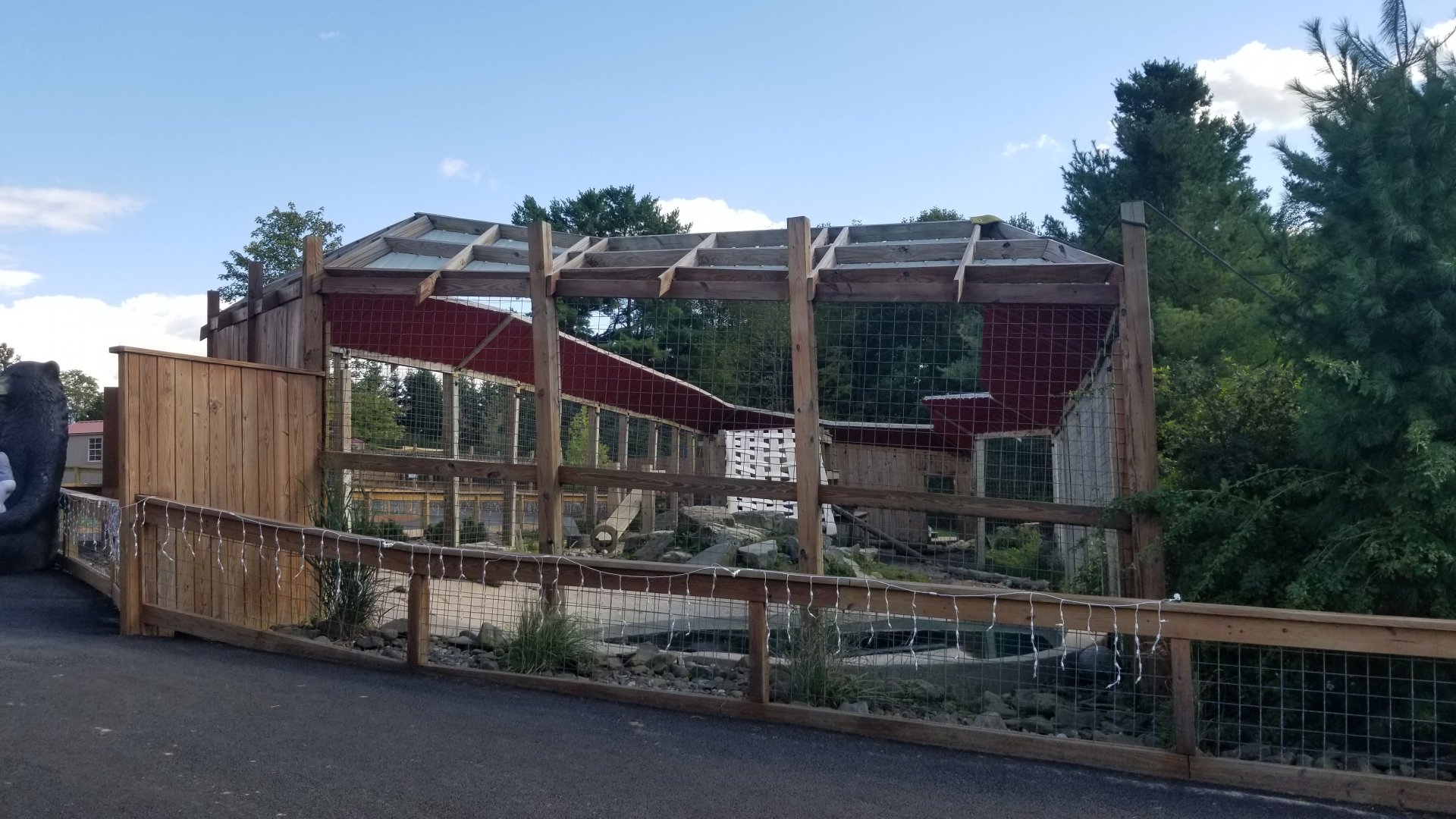 Animal Adventure Park - North American black bear