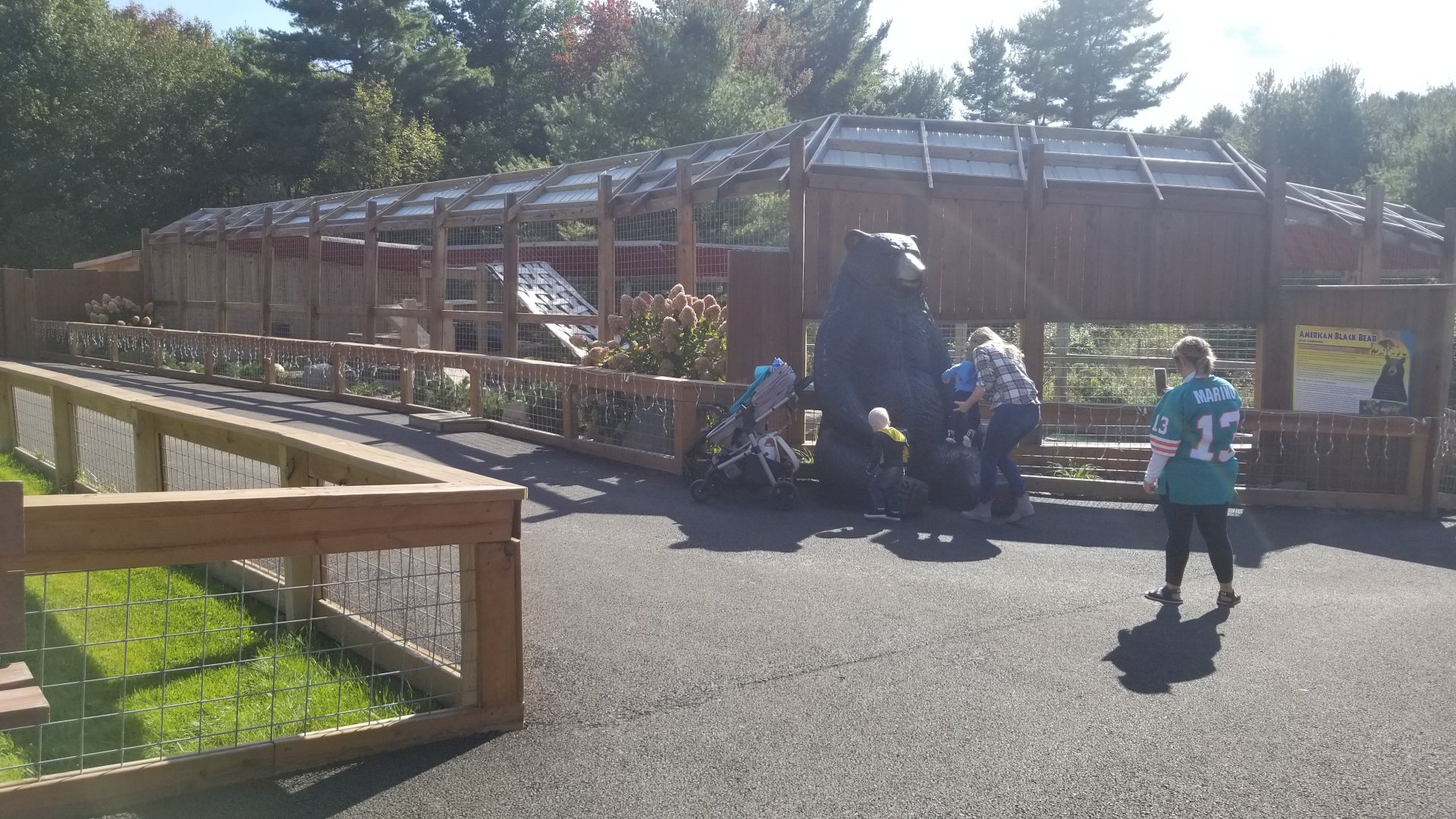 Animal Adventure Park - North American black bear