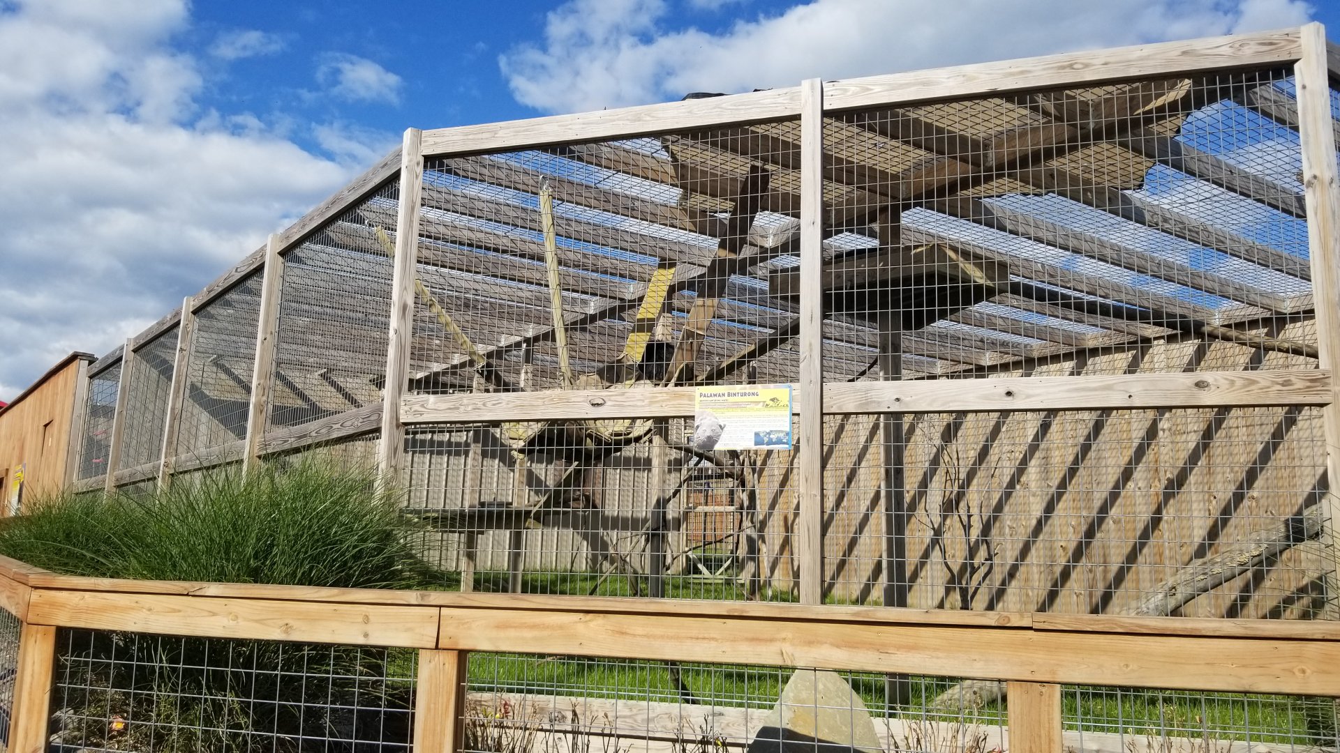 Animal Adventure Park - "Palawan" Binturong