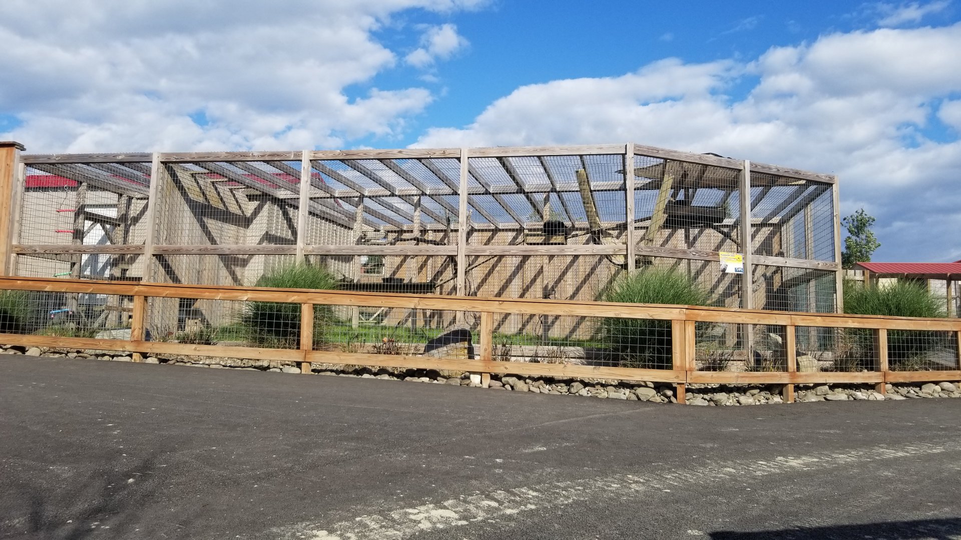Animal Adventure Park - "Palawan" Binturong