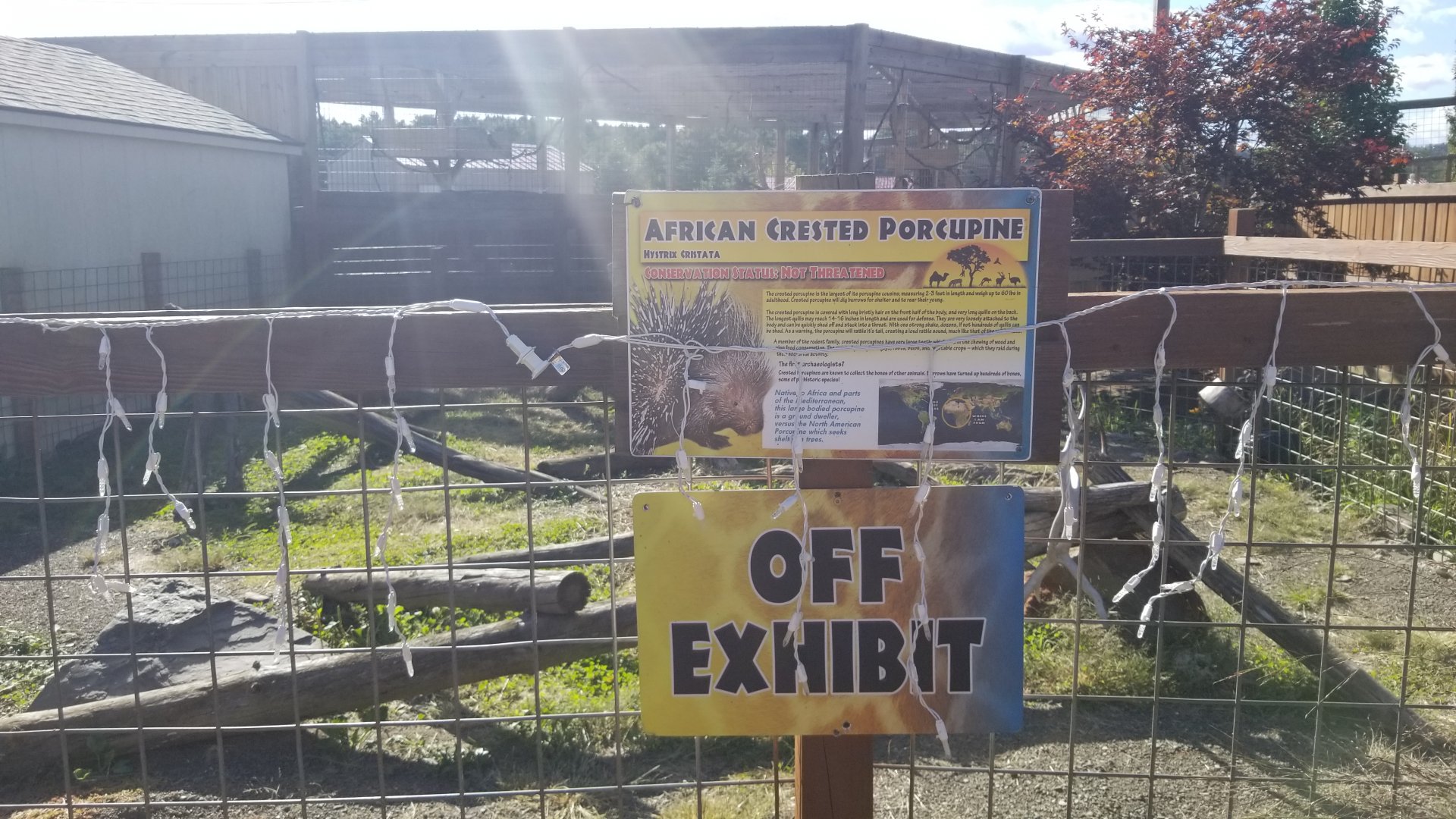 Animal Adventure Park - Porcupine (empty)
