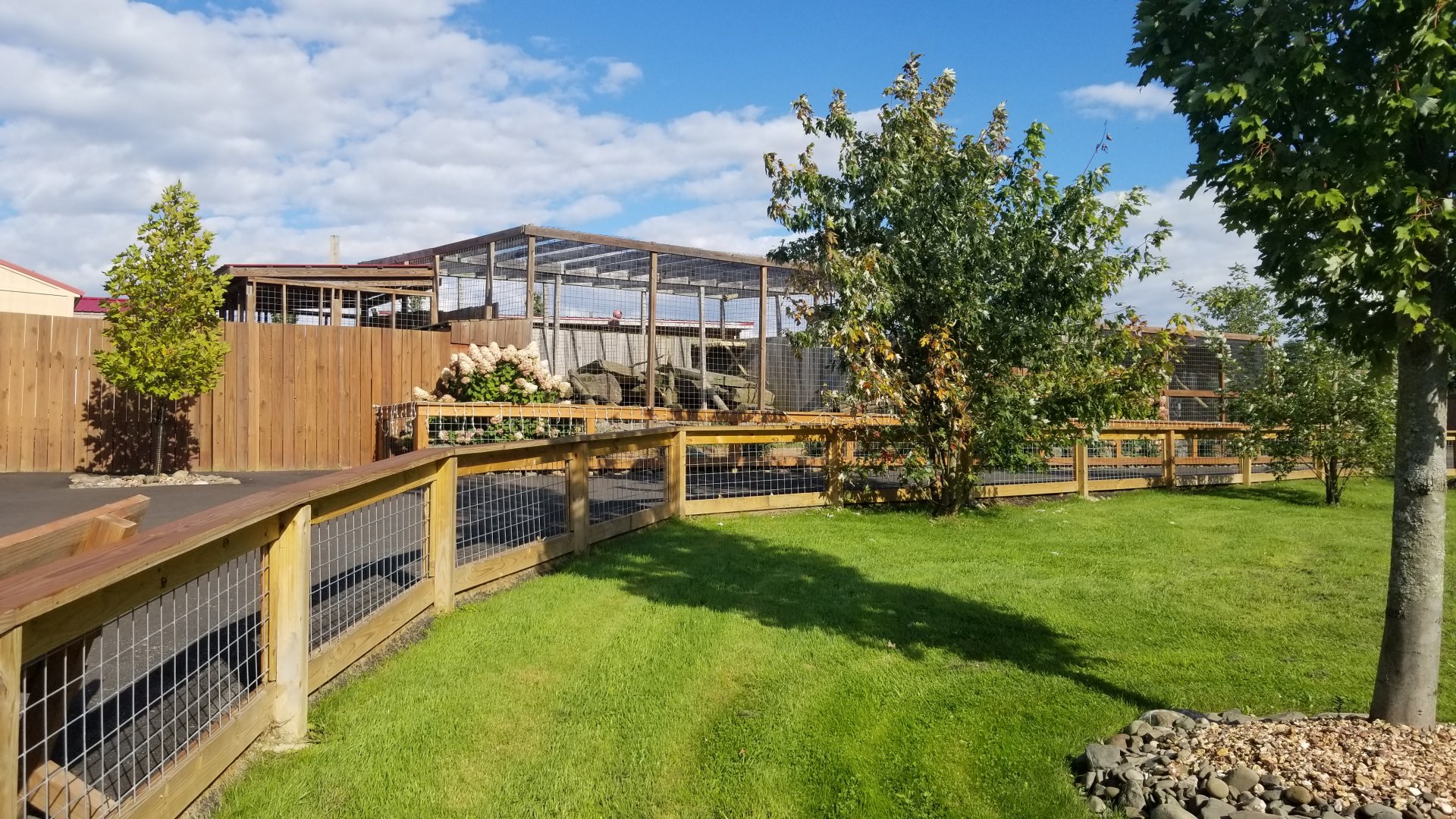 Animal Adventure Park - Puma, canada lynx