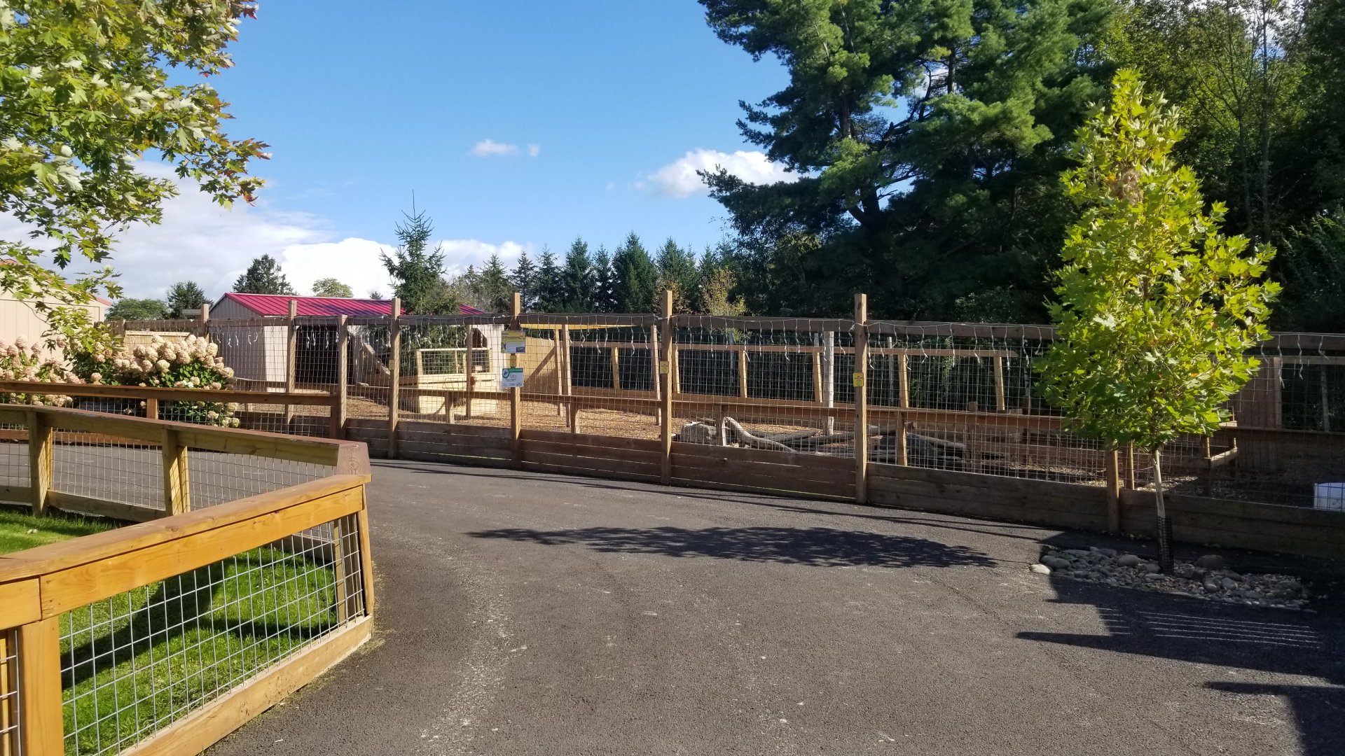 Animal Adventure Park - Reindeer