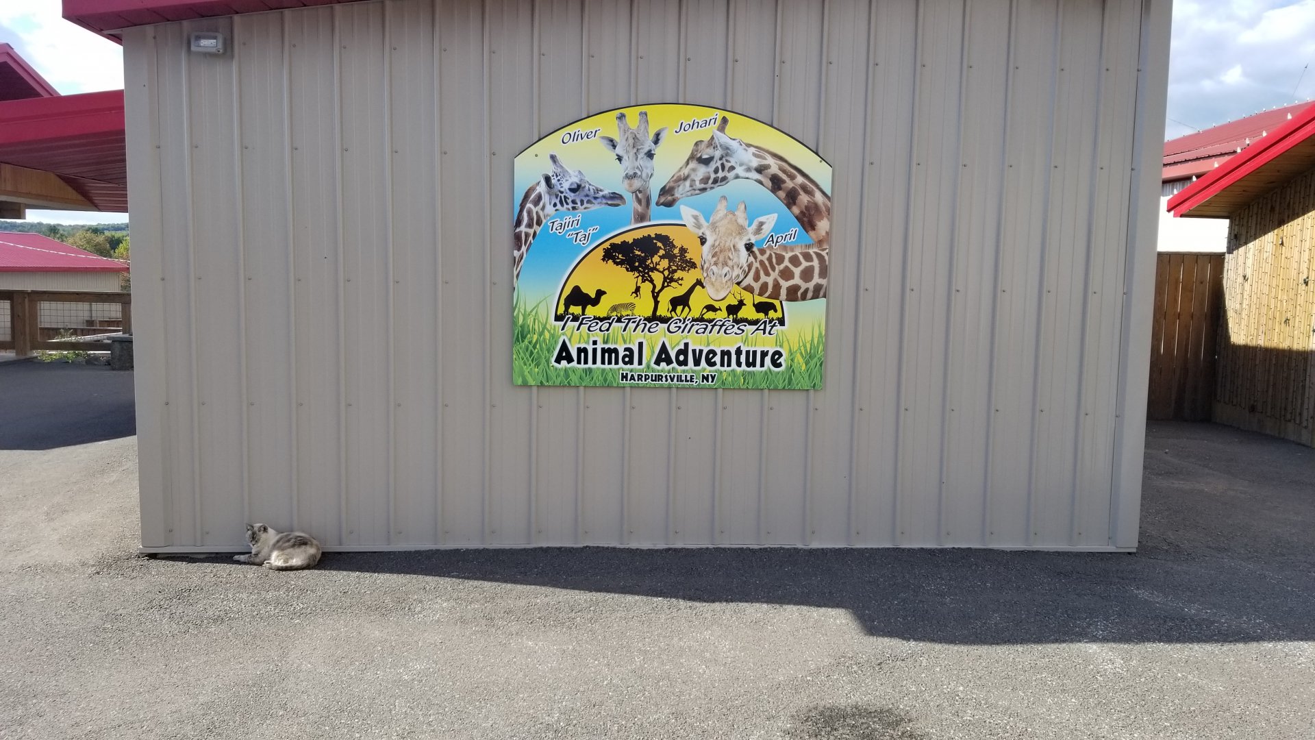 Animal Adventure Park - Sign, cat