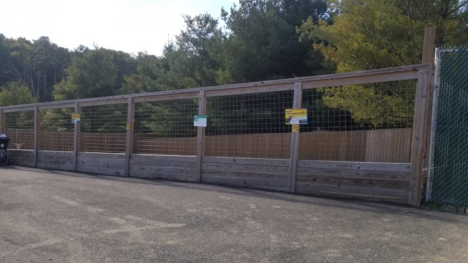 Animal Adventure Park - Sika & Fallow deer