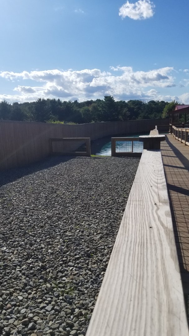 Animal Adventure Park - South american area