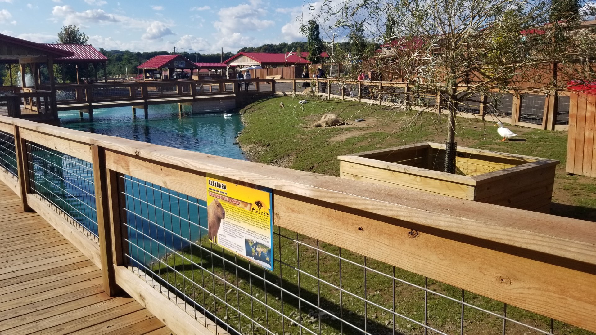 Animal Adventure Park - South american area