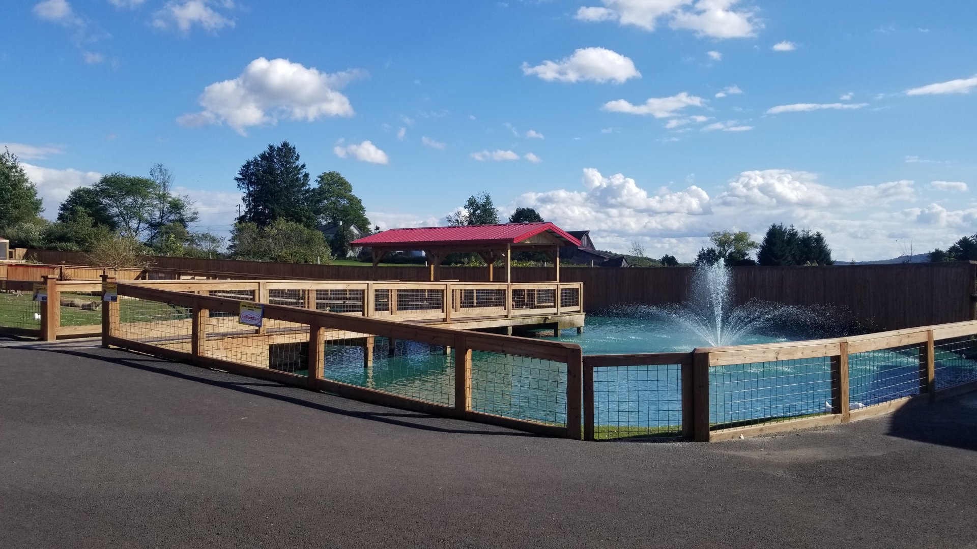 Animal Adventure Park - South american pond