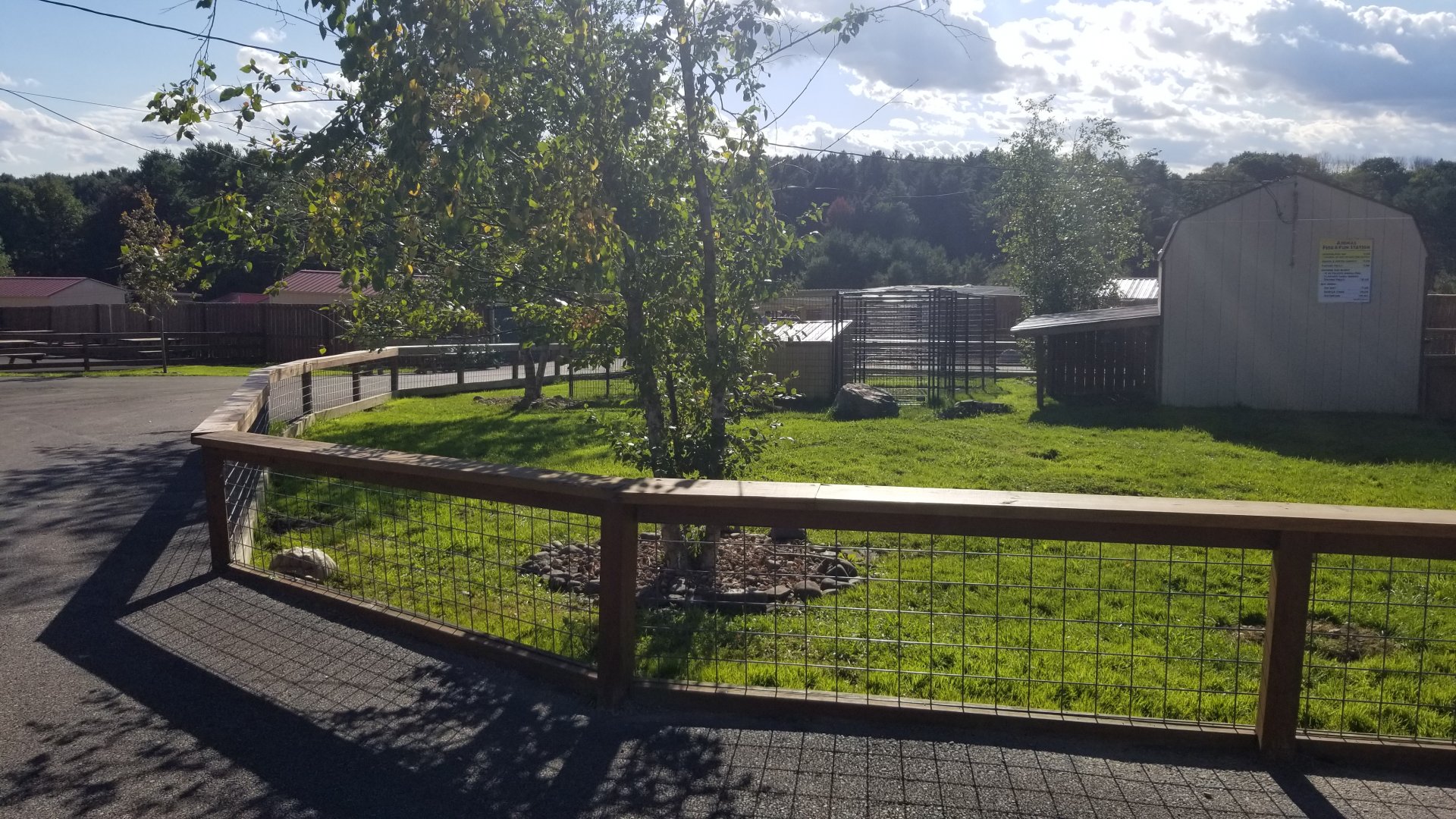 Animal Adventure Park - Tortoise yard