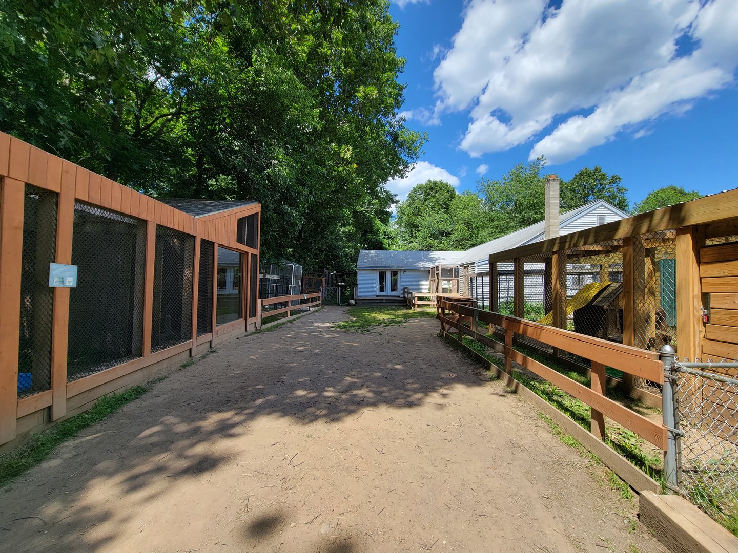 Animal Adventures MA 7/22 - Bobcat, foxes, door to serval/fox room