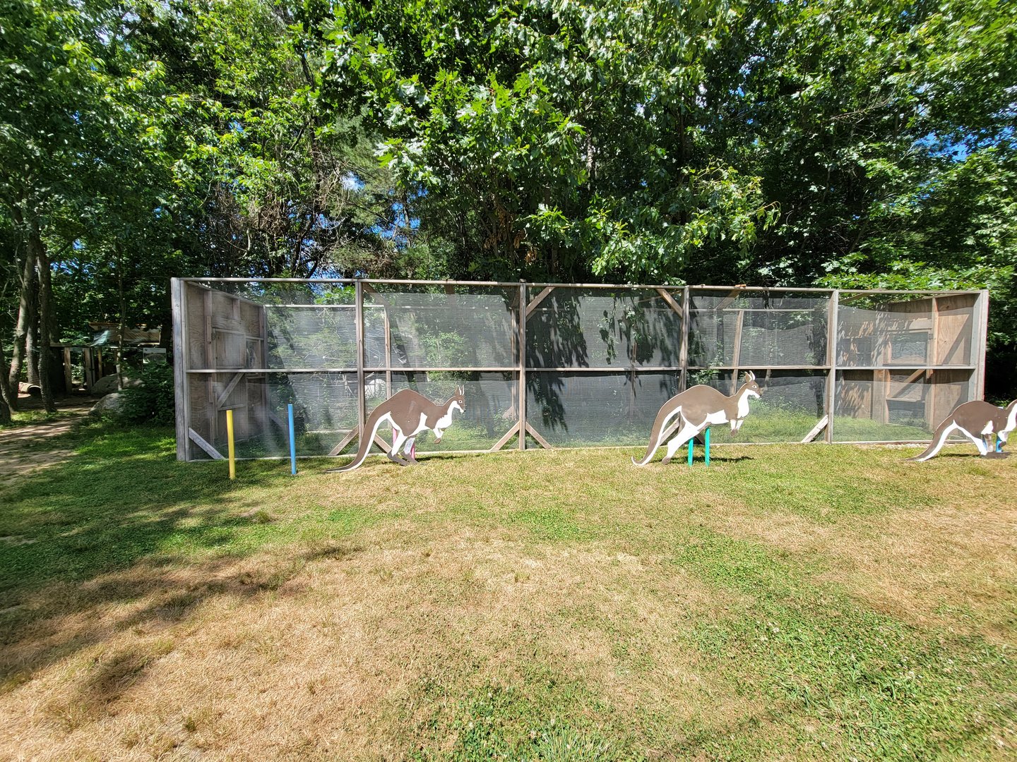 Animal Adventures MA 7/22 - Empty and unsigned yard, for wallabies?