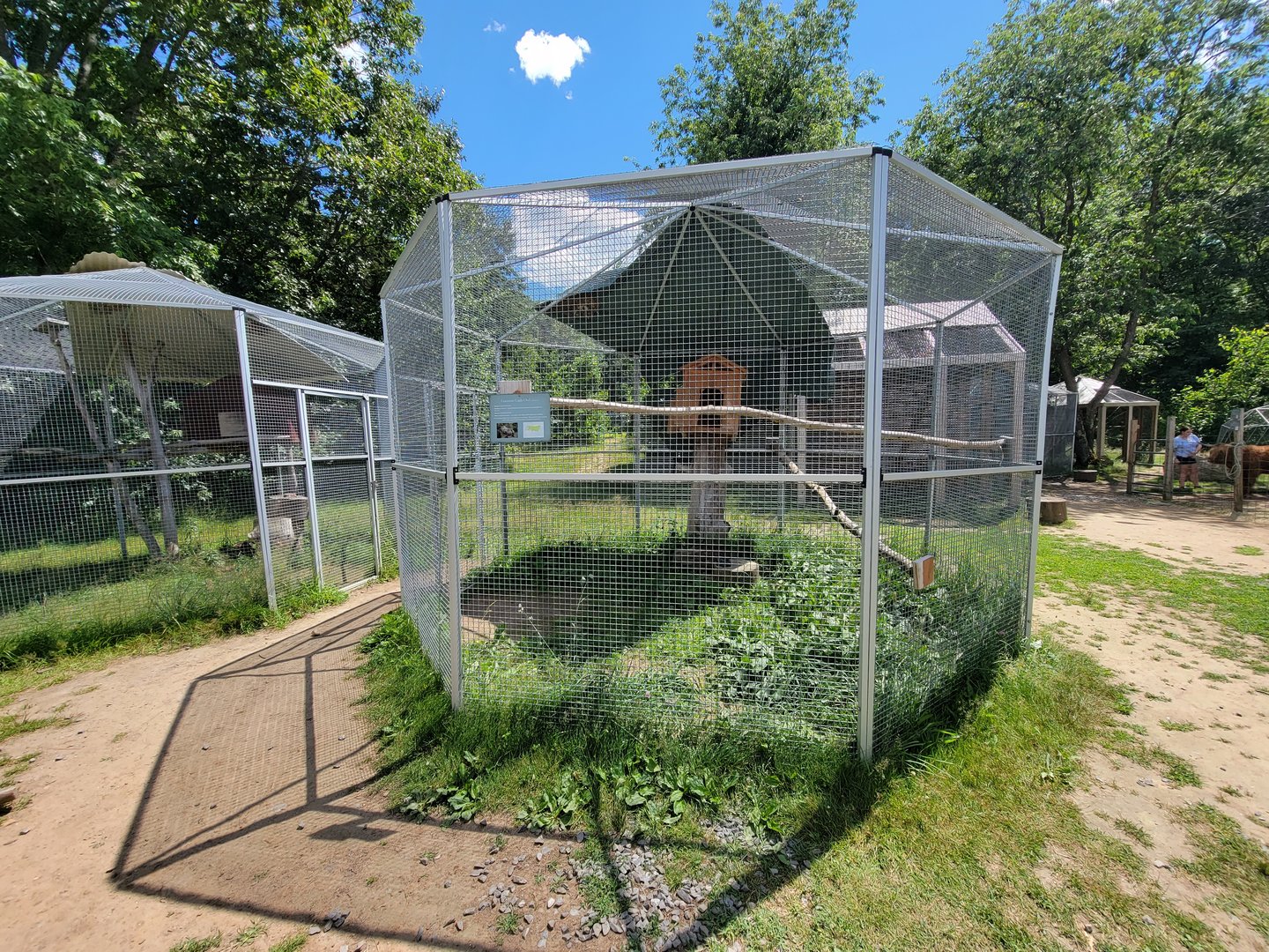 Animal Adventures MA 7/22 - Eurasian Eagle-Owl