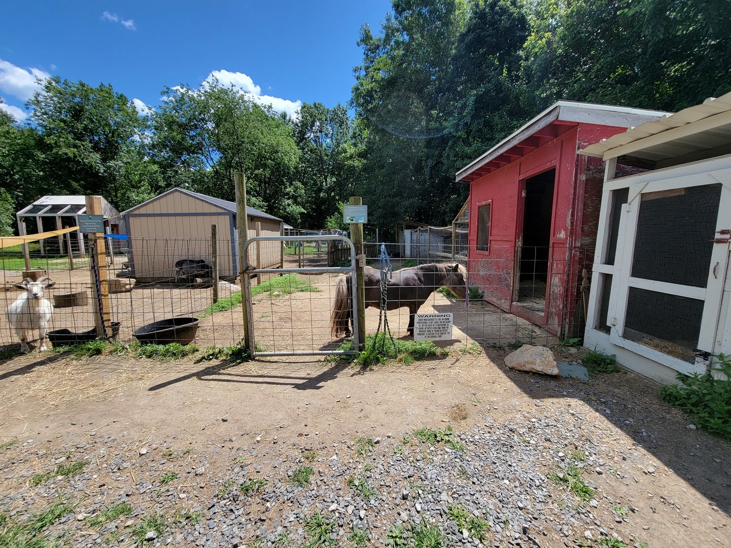 Animal Adventures MA 7/22 - Farmyard