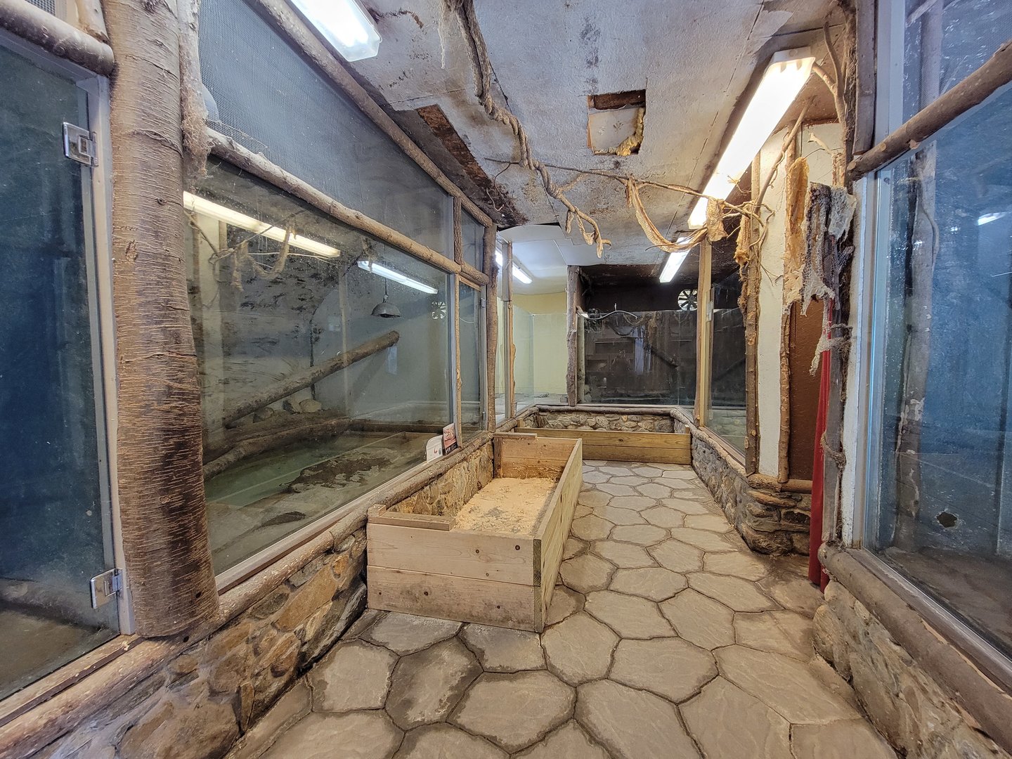 Animal Adventures MA 7/22 - Giant reptiles building