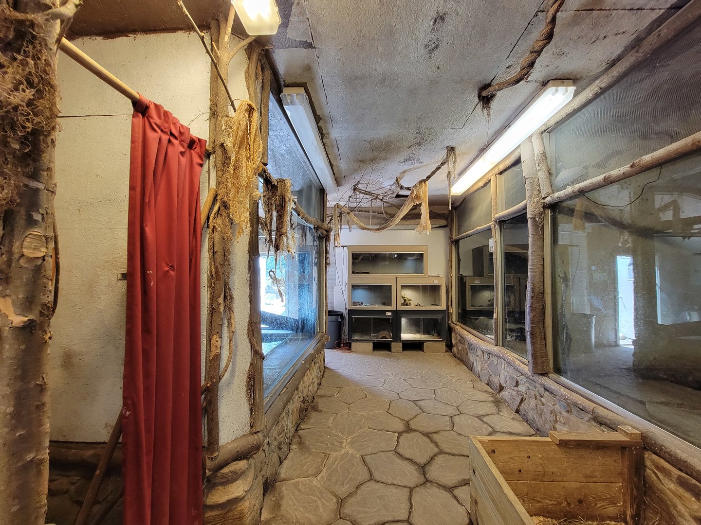 Animal Adventures MA 7/22 - Giant reptiles building