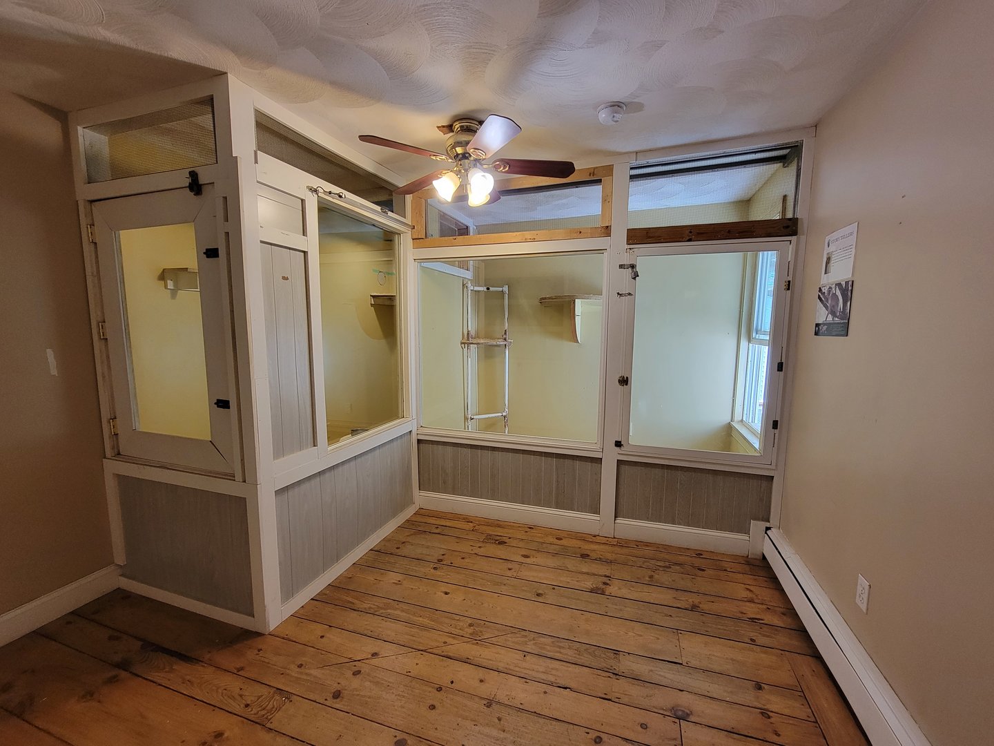 Animal Adventures MA 7/22 - Green monkey (signed as vervet)