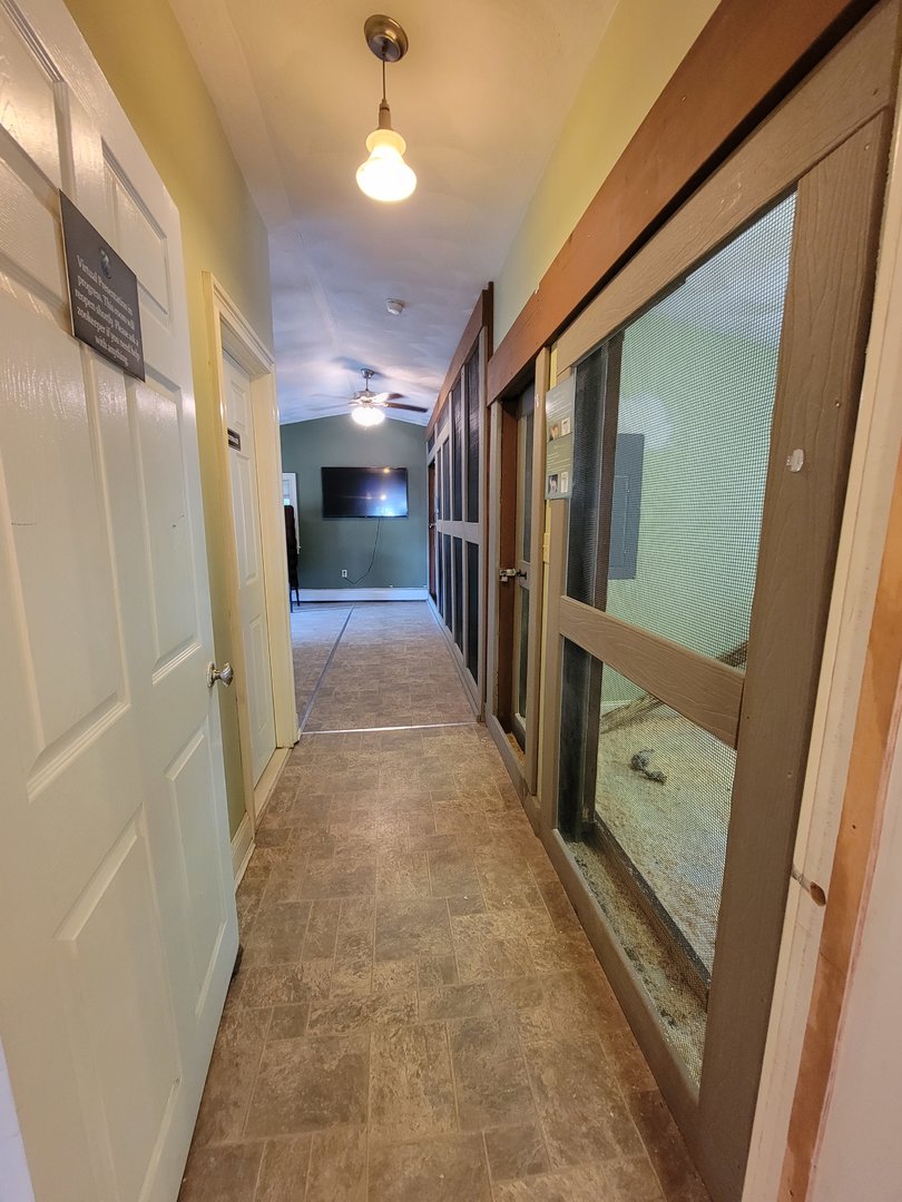 Animal Adventures MA 7/22 - Indoor carnivore room