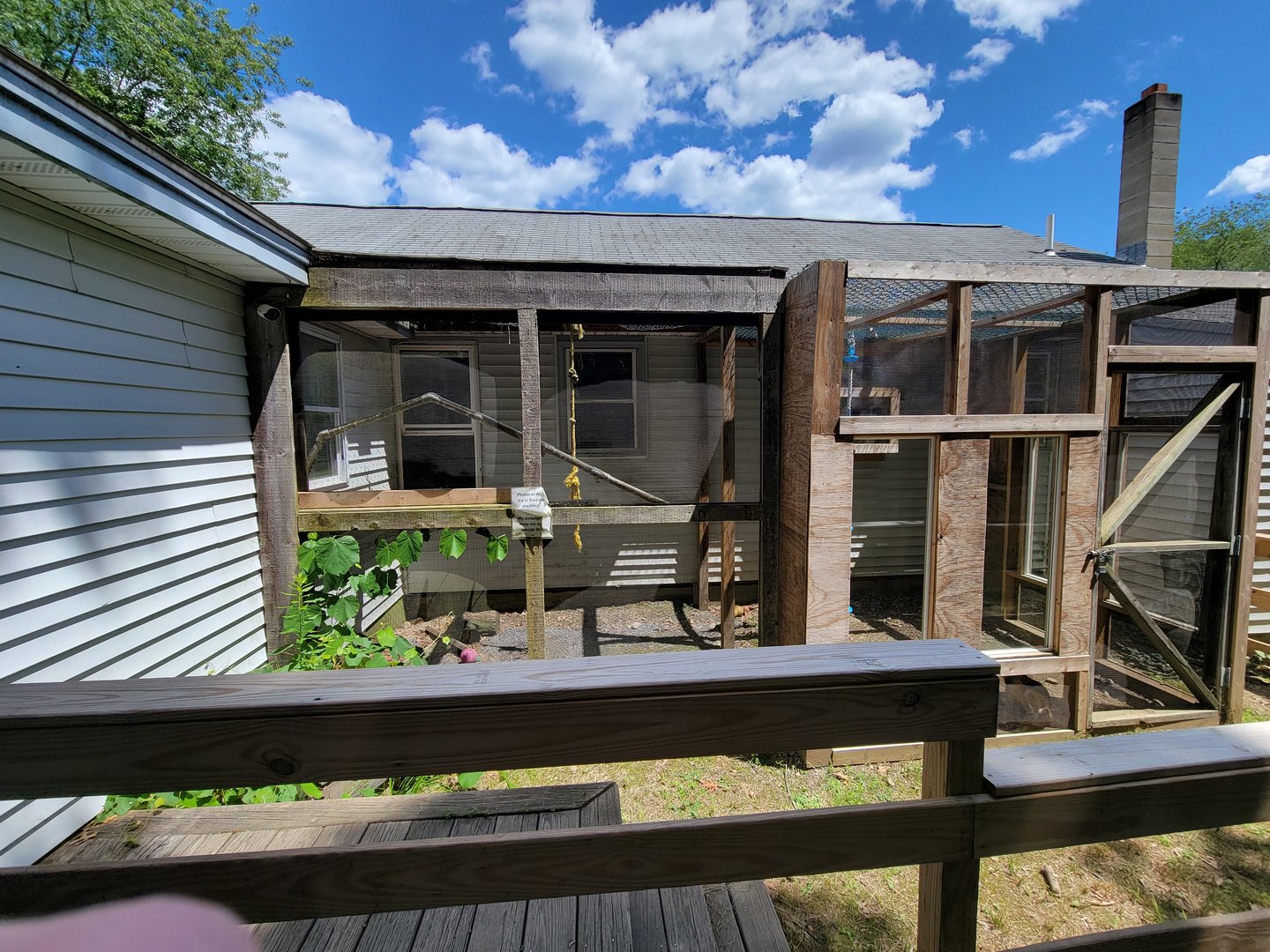 Animal Adventures MA 7/22 - Outdoor area for green monkey