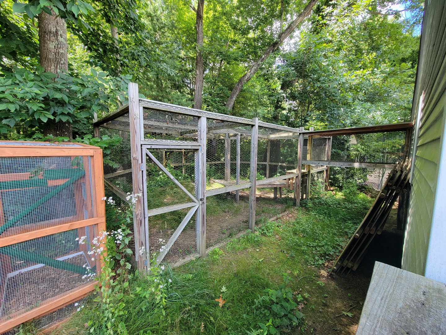 Animal Adventures MA 7/22 - Outdoor serval area