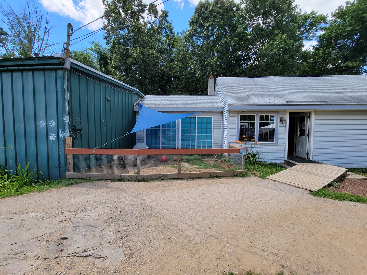 Animal Adventures MA 7/22 - Pig, Entrance