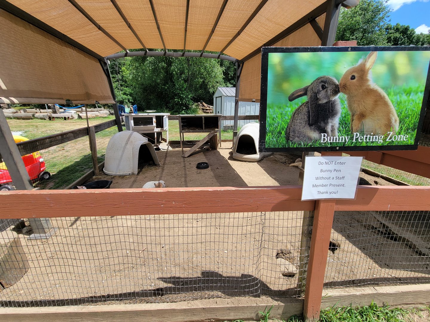 Animal Adventures MA 7/22 - Rabbits