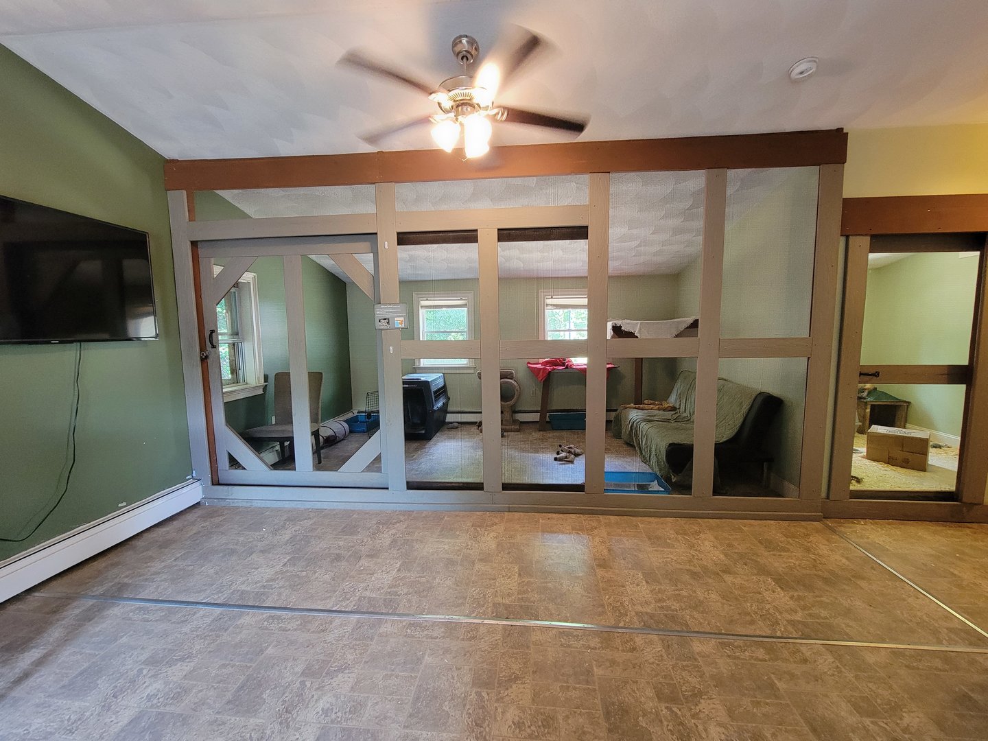 Animal Adventures MA 7/22 - Serval